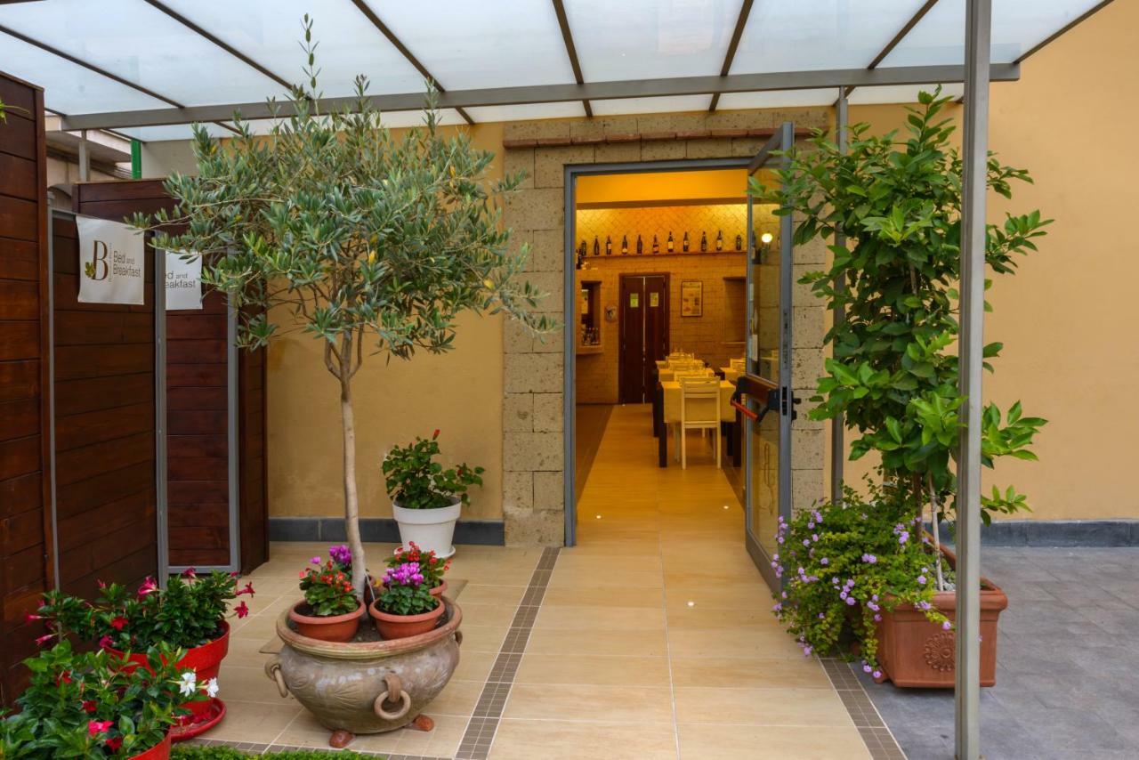 Bocca Di Bacco Bed & Breakfast Cimitile Екстериор снимка